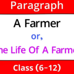 a farmer paragraph for class 6