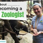 Best Zoology Colleges in Florida